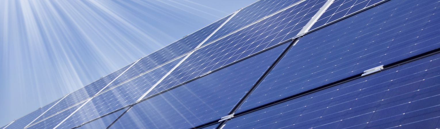 How to Make Your Business More Eco-Friendly